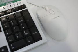 聯(lián)想C305舒適型3250e一體電腦 視覺與性能的和諧統(tǒng)一